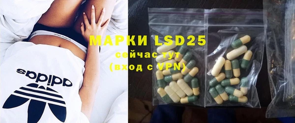 ECSTASY Алзамай