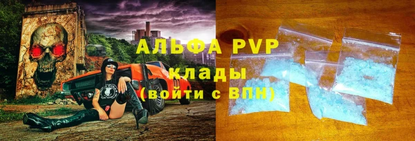 ECSTASY Алзамай