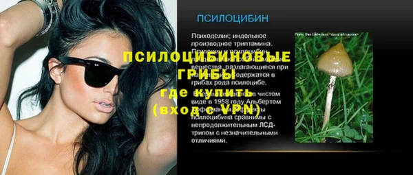 ECSTASY Алзамай