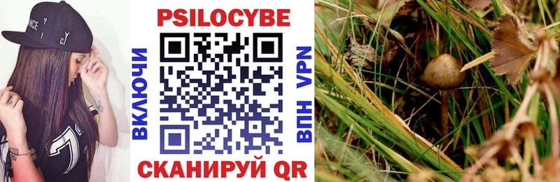 наркошоп Нелидово дарк нет как зайти Псилоцибиновые грибы Psilocybine cubensis